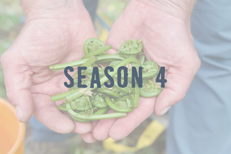Season4_thumbnail